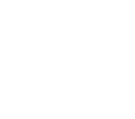 Bundesliga