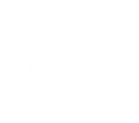 Moto GP