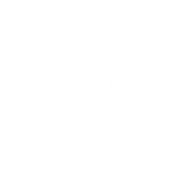 Sport 1+