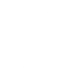 Uefa Champions Leauge
